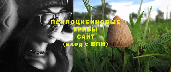 стаф Михайловск