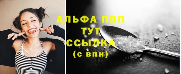 стаф Михайловск