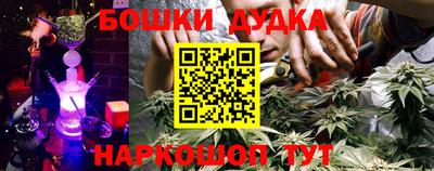 крисы Кандалакша