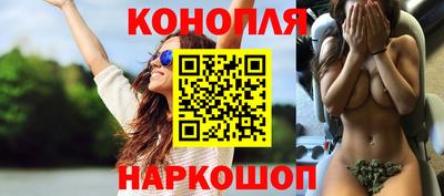 крисы Кандалакша