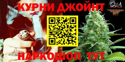 ПСИЛОЦИБИНОВЫЕ ГРИБЫ Камышлов