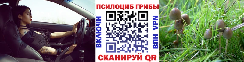 Галлюциногенные грибы мицелий Краснокамск