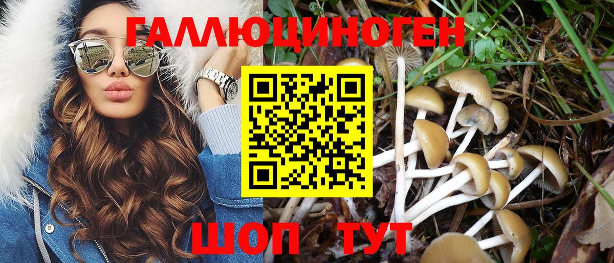 купить наркоту  Краснокамск  Псилоцибиновые грибы Psilocybe 